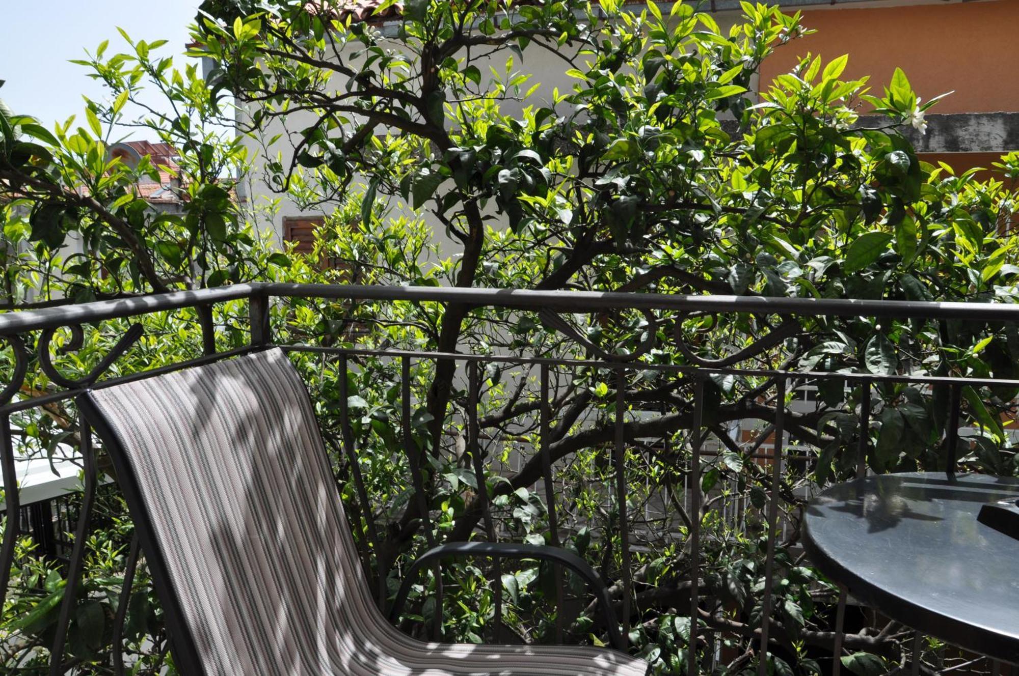 Guest House Damjana Budva Ngoại thất bức ảnh